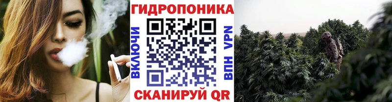 Купить  Козловка  Конопля OG Kush 